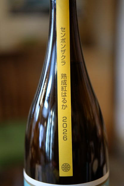 千本桜　熟成紅はるか　25度　1.8L
