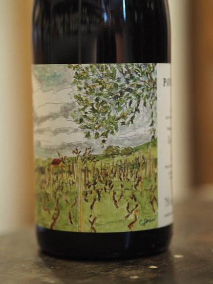 レ ヴィニェッテ / ポッジャレッロ  Le Vignette / Poggiarello 2022  赤