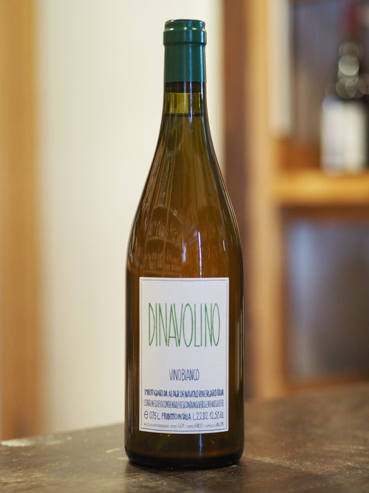 Denavolo / Dinavolino 　デナーヴォロ / ディナヴォリーノ 2021　白