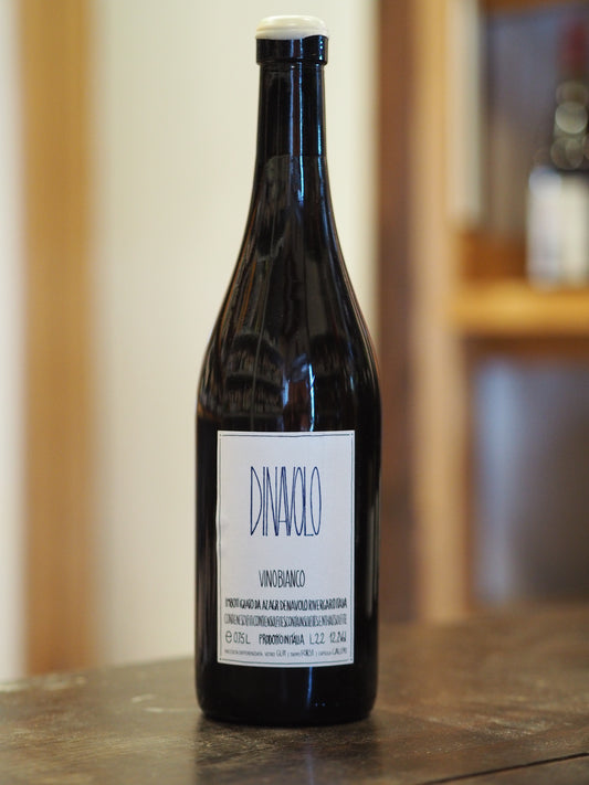 Denavolo / Dinavolo 　デナーヴォロ / ディナーヴォロ　2022 白