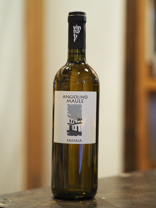 ラ ビアンカーラ / サッサイア　La Biancara / Sassaia 2023 【白】